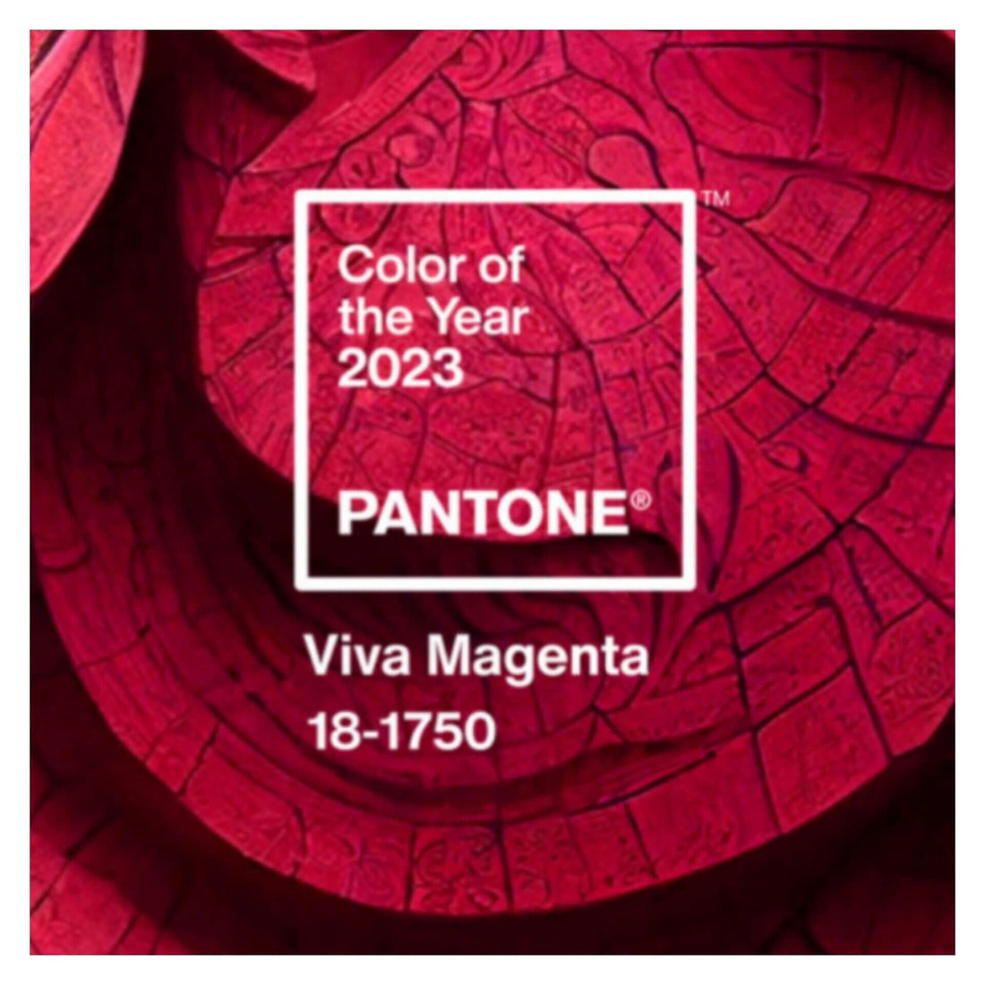 Pantone 2023 - Viva Magenta